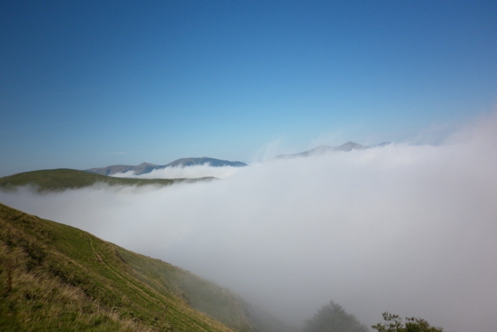 Caminho de Santiago Dawn Fog